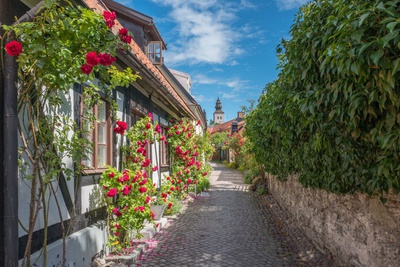 Visby walking tour